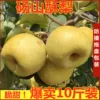 Товары от 桃元帅旗舰店