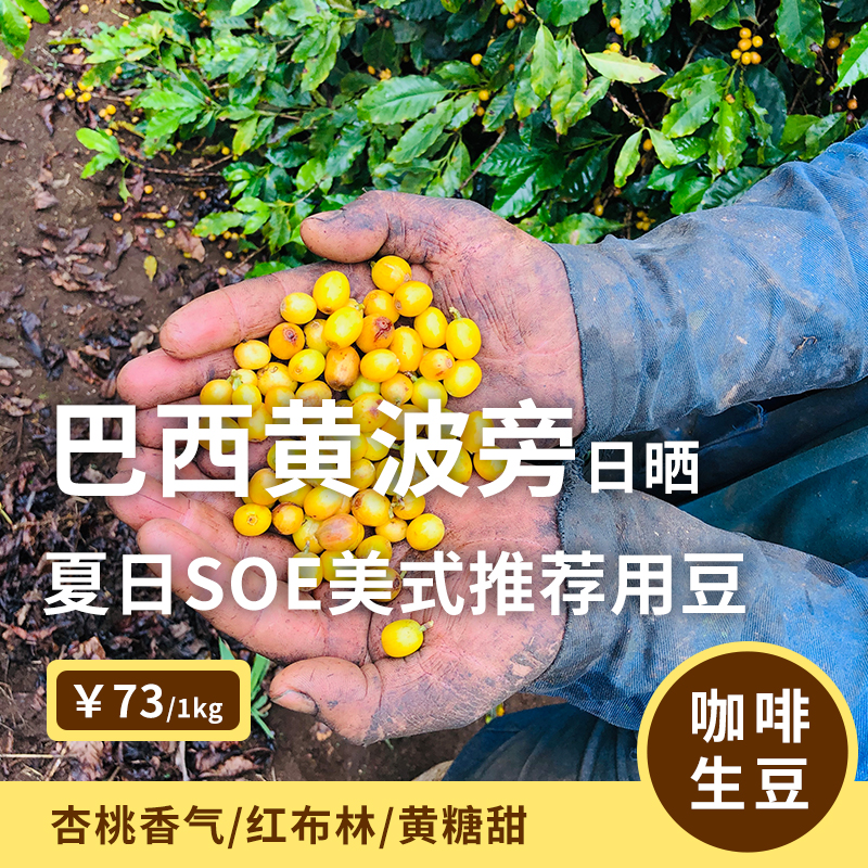 Brazil Yellow Bourbon Sunscreen Coffee Raw Bean Baking Raw Material Level Rich 1KG