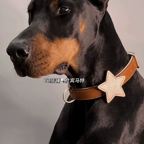 Собачья собачья круг круг злой мечта Сладкая аксессуары мечта