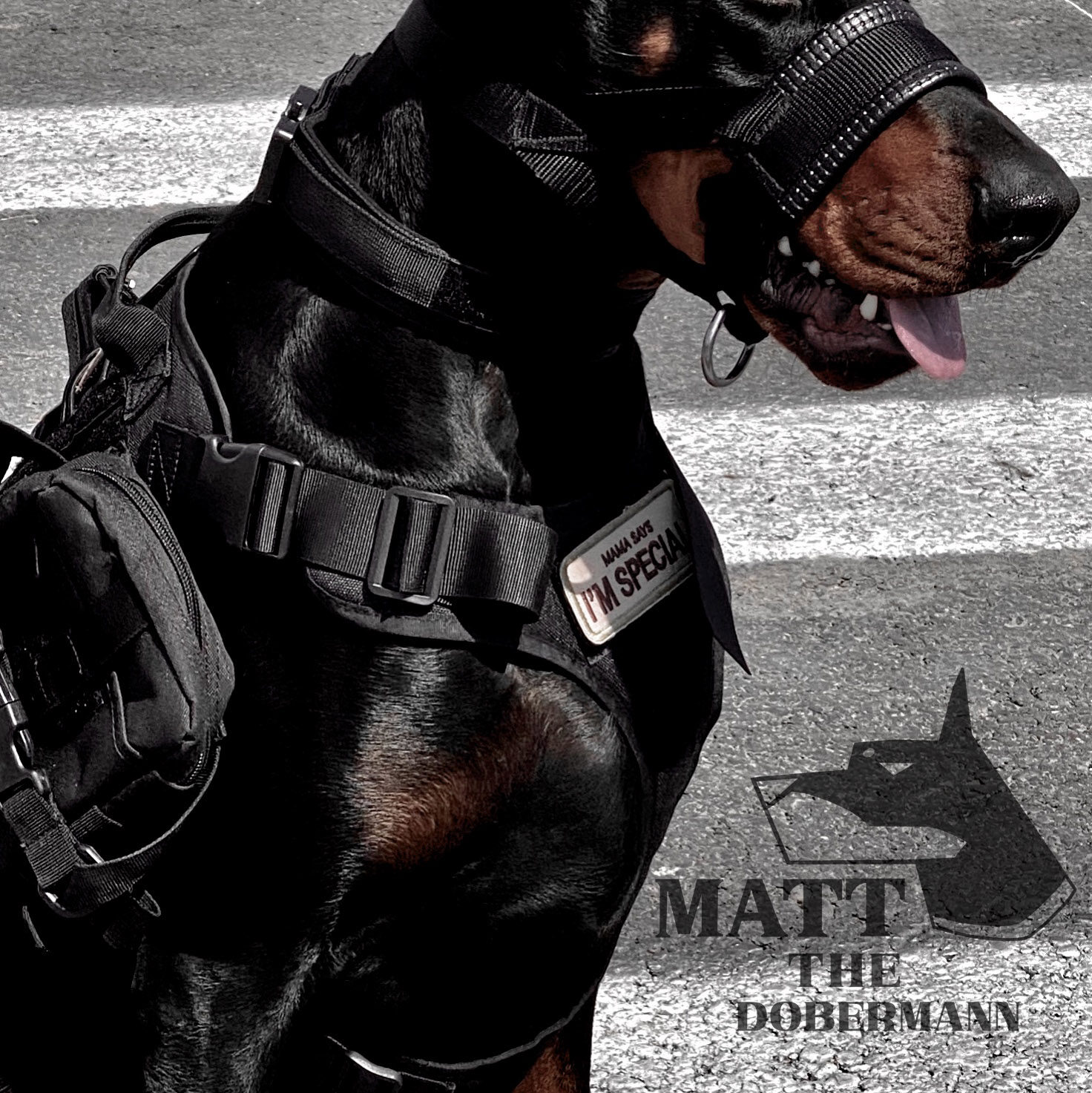 Dubinmatt's tactical vest of the same dog clothes large dog outdoor chest strap towed vest