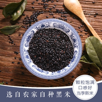Naxi field Yunnan black rice grains black rice porridge raw material non-purple rice farmers home-produced black fragrant rice 1000g