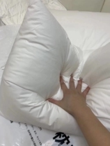 OEM pull back export day single self-retained five-star hotel experience home high pillow pillow pillow B786
