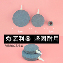Fish tank sandhead Water family accessories oxygenation tube 6cm atmosphere disc Bubble Stone Oxygenation Pump Windpipe Sand Head Special Hose