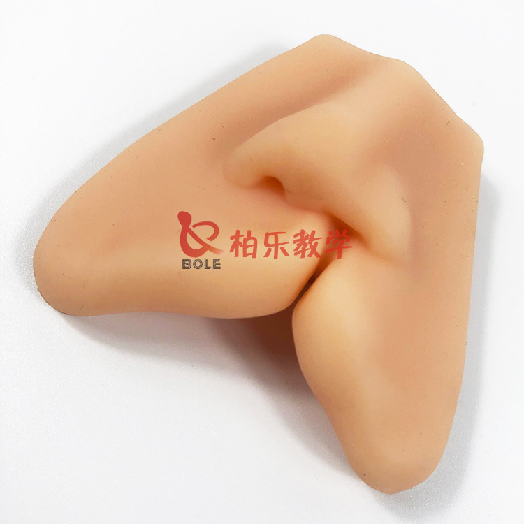 兔唇缝合练习模型婴儿嘴巴分裂训练模块外科修复手术嘴唇模具