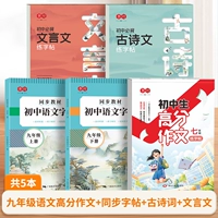 【5 книг】 9 -й класс Полный набор