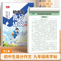 9 -й класс китайский эссе с высокой оценкой