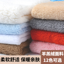 Lambskin fabric thickened coral flannel fabric Plush cloth Clothing gloves lining cloth Warm lining doll flannel