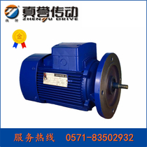 Zhenyu motor D-YE2-4 pole (aluminum shell)hard tooth surface three-phase asynchronous motor motor factory direct sales