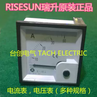 BE-96 RISESUN Voltmeter Ammeter (Agent)guarantee