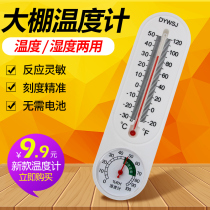 Thermometer Mercury household industry indoor agriculture high-precision dry and wet wall greenhouses special greenhouses