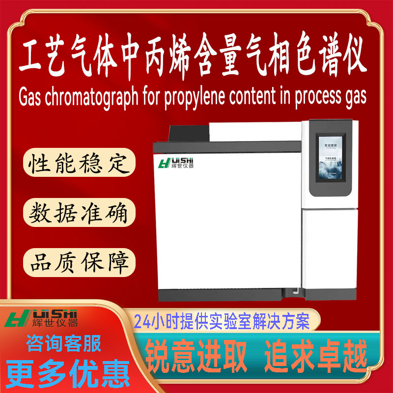 多功能上海辉世GC685工艺气体中丙烯含量气相色谱分析仪器