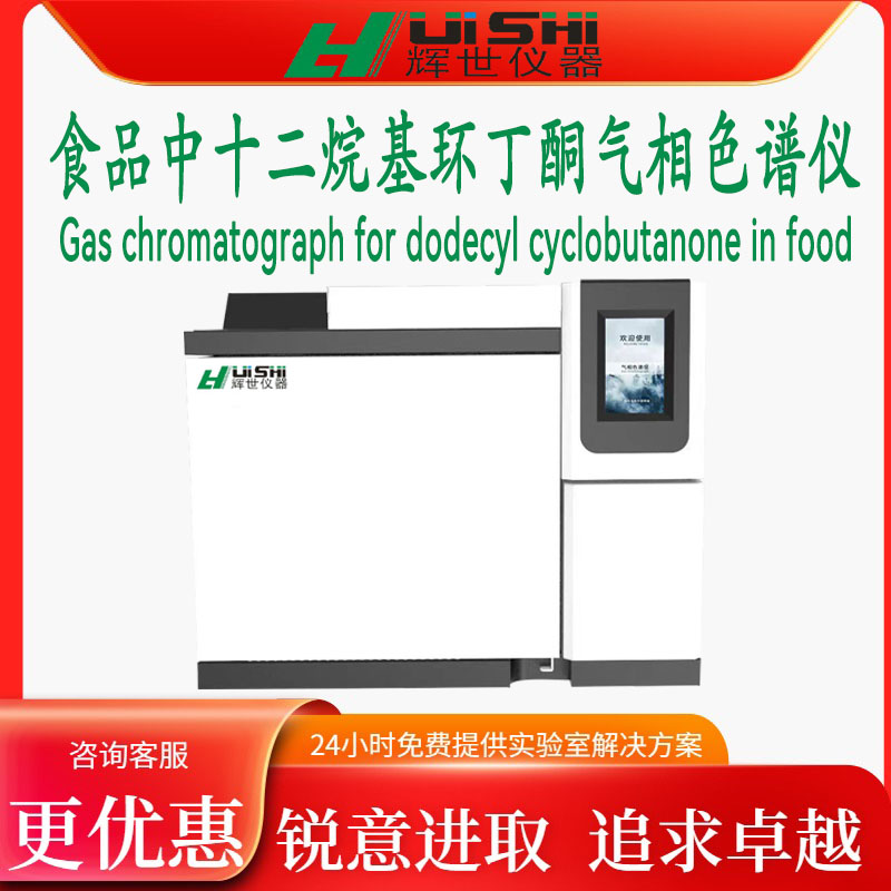 现货上海辉世GC450辐照含脂食品中十二烷基环丁酮检测仪上门安装