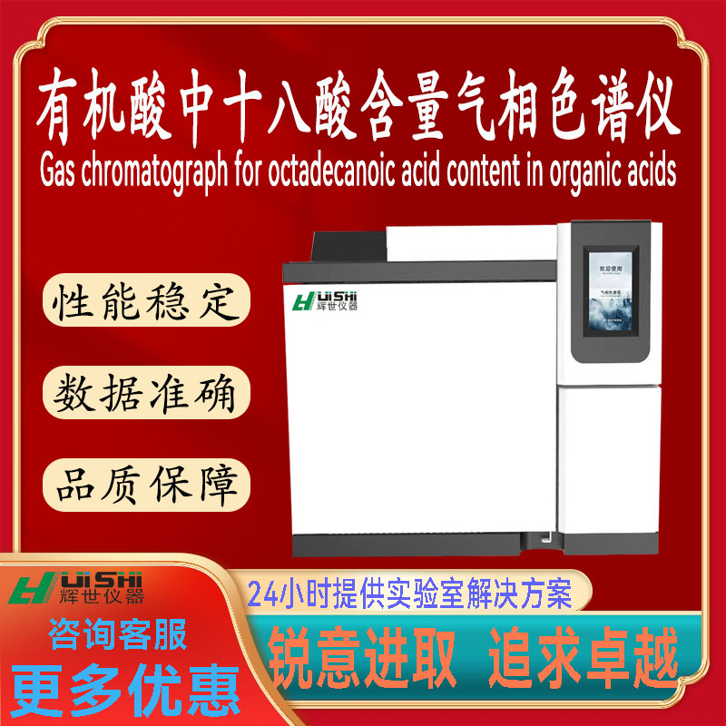 多功能上海辉世GC820有机酸中十八酸含量分析检测仪上门安装培训