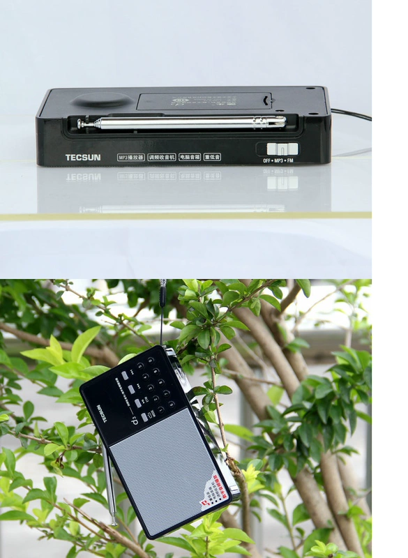 Thẻ radio Tecsun / Desheng D3 người già xách tay FM FM ông già bỏ túi mini mp3 nhỏ phát sóng bán dẫn walkman tf card máy nghe nhạc mới - Trình phát TV thông minh