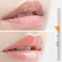 Recommended by Watsons ~ The savior of dry lips ~ Nourishing lips with oil ~ Lip care essence ~ Fading lip lines and moisturizing