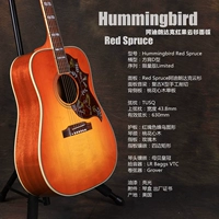 19 модели панели Hummingbird Red Epruce Adi