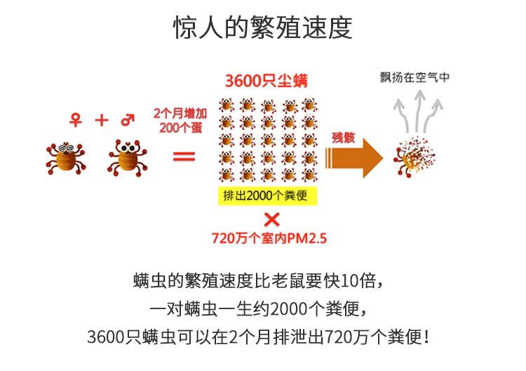 bình xịt muỗi khói 24 giờ để loại bỏ 螨 Nhật Bản Maru Rong 螨 祛 祛 螨 螨 床上 床上 床上 沙发 - Thuốc diệt côn trùng 	bình xịt côn trùng loại tốt