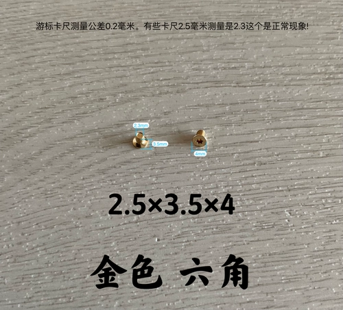 Double C Luxury Care Chanel маленькая шлепа