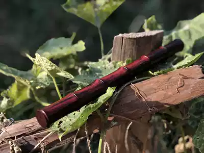 Mahogany wood craft gift decoration small leaf red sandalwood old flame bamboo incense tube incense tube incense box line incense tube boutique