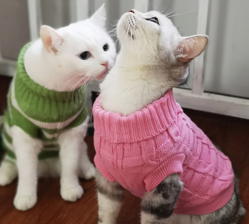 Malt Bear Pet Kitty Clothes Autumn Winter Pets Sweater Cat Clothing Knitwear Pet Knitwear