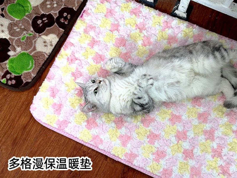 Japan Dogge Comic Sleeping Dog Cat High Bond Warm Mat Cat Mat Cat Mat Pet Cat Insulation Mat Hot Reflective Aluminum Material