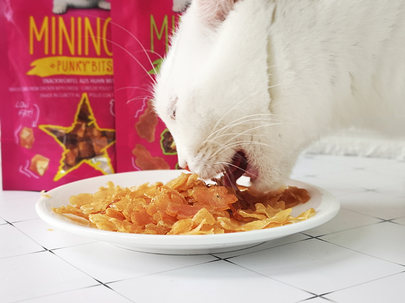 Malt Bear Đức Vitacraft Wei Ta Kraft Mini Cat Snack Thịt Gà Gà Thịt khô Giải thưởng 40g thức ăn cho mèo ta