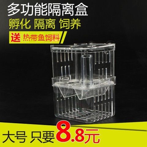 Mini Parrot Fish Isolated Hatchbox Juvenile Fish Hatchbox Big Fish Tank Hatchbox Isolation Case Pneumatic Hatchbox