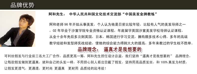 Extension cheveux - Chignon - Ref 247088 Image 35