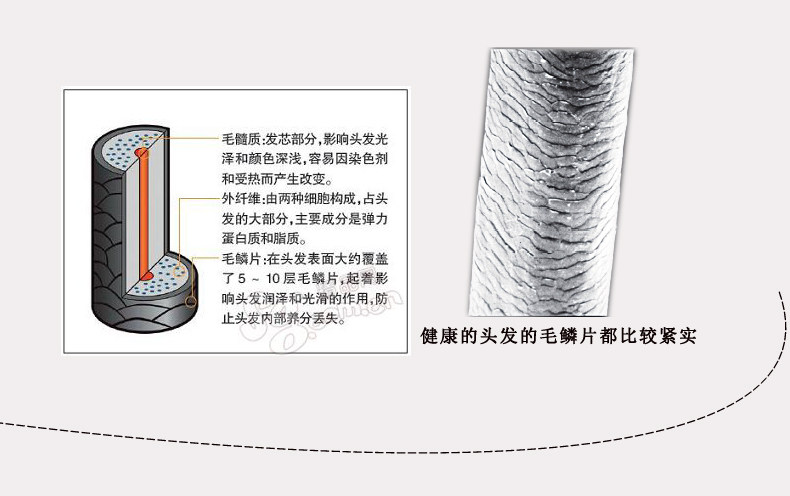 Extension cheveux - Ref 226269 Image 10