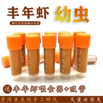 Frozen harvest shrimp larvae Frozen small fry feed Live fish food Guppy colorful fish Jellyfish seedling open food