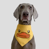 Модная утка с большим ртом