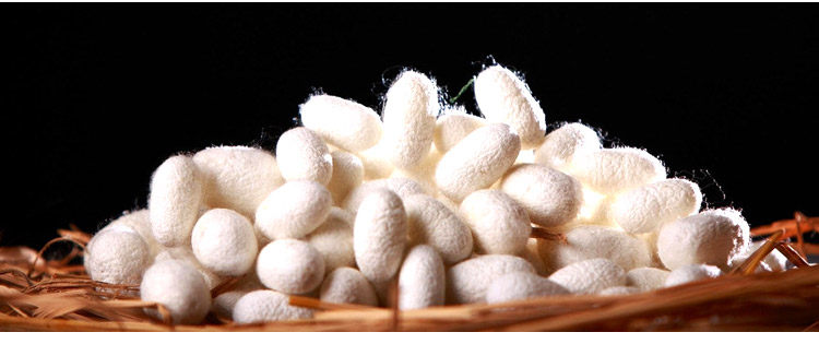 Pantalon pyjama - Ref 717243 Image 6