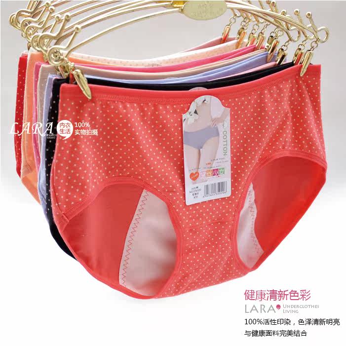 Slip en coton - Ref 642813 Image 24