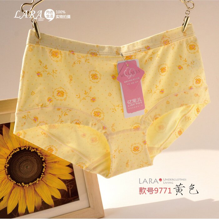 Slip jeunesse 9700 9771 en coton - Ref 645270 Image 43