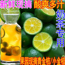 Vietnamese varieties of small kumquat small green kumquat milk tea special cold drink tropical fresh seasonal fruit sour lemon 5kg