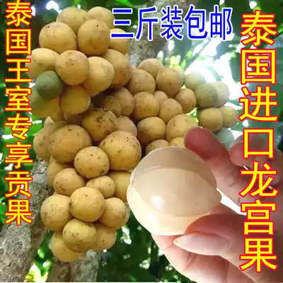Thai Dragon Gong fruit Dragon Palace fruit orchid Mulberry fresh fruit love fruit imported LOQUAT Fruit yellow peel fruit 3kg