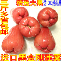 Thailand fresh black King Kong lotus mist refreshing victory over Taiwan Hainan lotus mist fresh fruit sweet three pounds