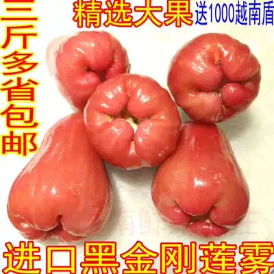 Thailand fresh black diamond Lotus fog refreshing victory Taiwan Hainan Lotus fog fresh fruit sweet Three Jin