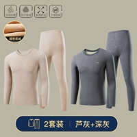 【2-часовой набор воротник】 reed grey + темно-серый