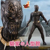 (Cat home spot) HT HotToys MMS471 Black Panther villain Eric leopard Erik