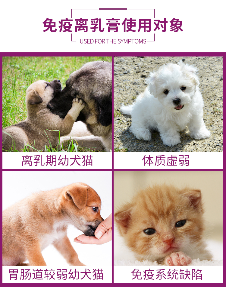 Red Dog RedDog Kem miễn dịch Kem Cat Dog Kem dinh dưỡng tổng hợp Cat Cat Tăng cường miễn dịch bổ sung dinh dưỡng 120g - Cat / Dog Health bổ sung sữa cho chó mèo sơ sinh