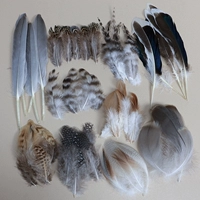 10 стилей Fengyin смешанных пакетов 50 штук