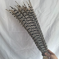 Натуральный цветной крышка 40-50 см 1