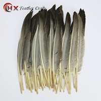 Оригинальный цвет Camelback 10 шт.