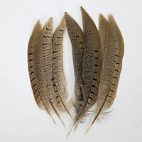 15-20 хвостов фазана оригинального цвета 5 шт.