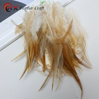 Около 50 волос основного цвета.