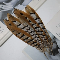 Выбранные натуральные цвета около 40 см 1