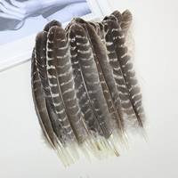 Гнездо серый цветок индейки 5 25-30 см5