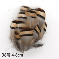 Пятьдесят из темно -зеленых 38 каменных куриных перьев