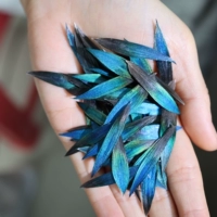 10 вставьте синие ломтики